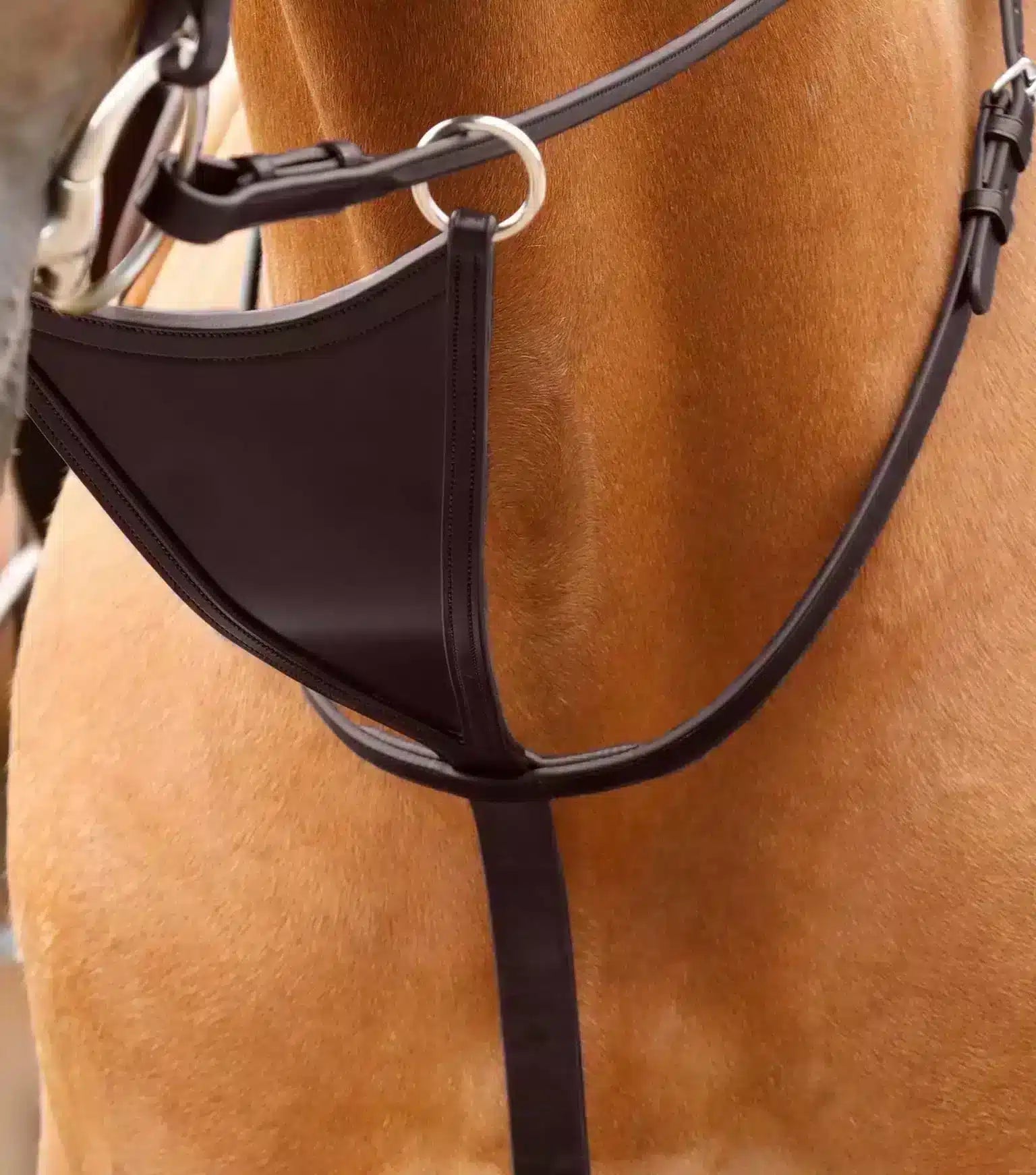 Premier Equine Rosello Bib Martingale by Premier Equine at  Try a Bit