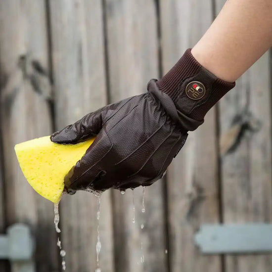 Premier Equine Dajour Waterproof Riding Gloves by Premier Equine at  Try a Bit