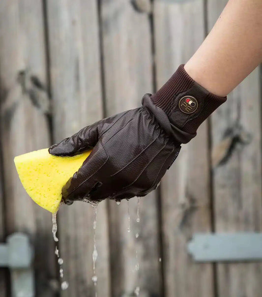 Premier Equine Dajour Waterproof Riding Gloves by Premier Equine at  Try a Bit