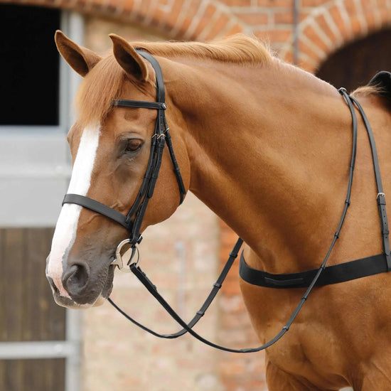 Premier Equine Salvatore Rubber & Leather Grip Reins by Premier Equine at  Try a Bit