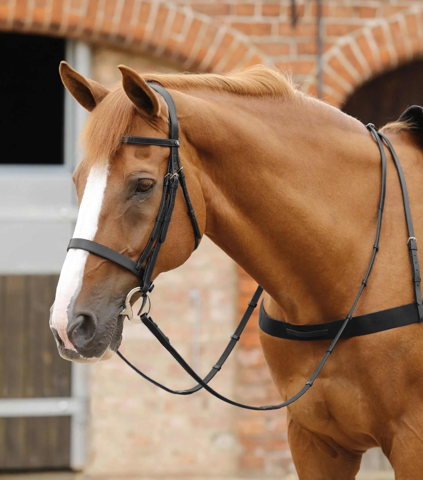 Premier Equine Salvatore Rubber & Leather Grip Reins by Premier Equine at  Try a Bit