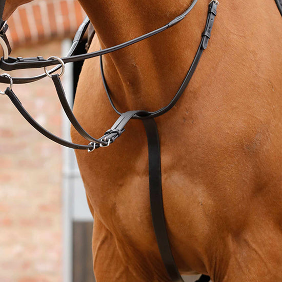 Premier Equine Santadi Adjustable Running Martingale by Premier Equine at  Try a Bit