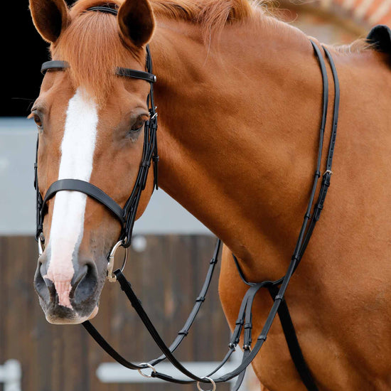 Premier Equine Santadi Adjustable Running Martingale by Premier Equine at  Try a Bit