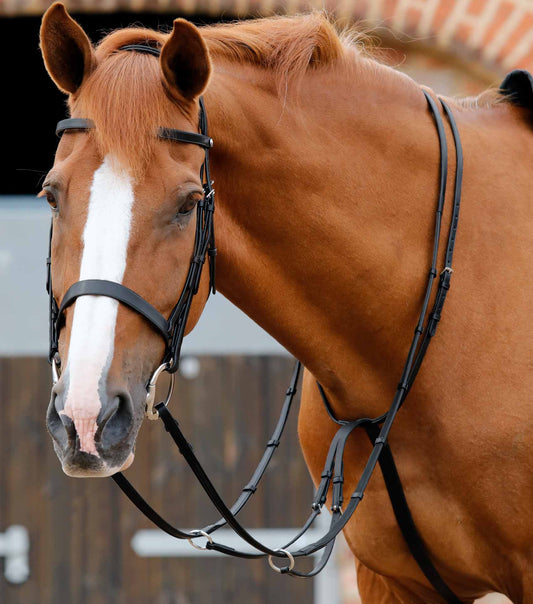 Premier Equine Santadi Adjustable Running Martingale by Premier Equine at  Try a Bit