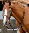 Premier Equine Santadi Adjustable Running Martingale by Premier Equine at  Try a Bit