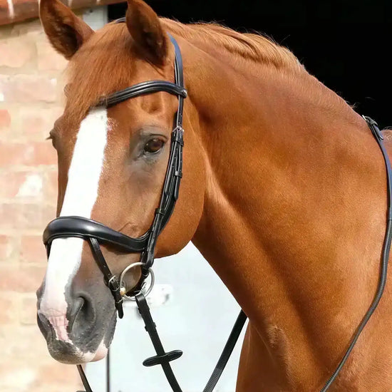 Premier Equine Savuto Anatomic Bridle with Crank Noseband & Flash by Premier Equine at  Try a Bit