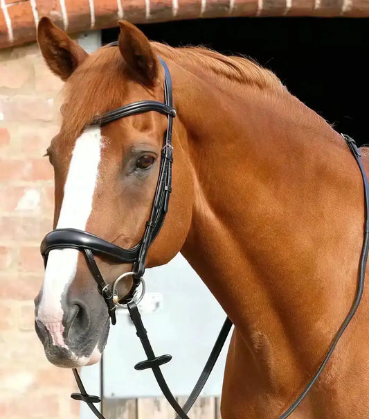Premier Equine Savuto Anatomic Bridle with Crank Noseband & Flash by Premier Equine at  Try a Bit