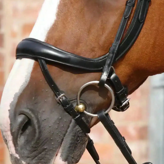 Premier Equine Savuto Anatomic Bridle with Crank Noseband & Flash by Premier Equine at  Try a Bit