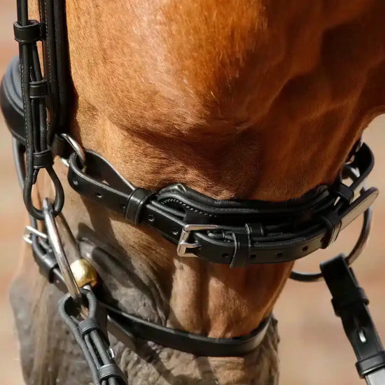 Premier Equine Savuto Anatomic Bridle with Crank Noseband & Flash by Premier Equine at  Try a Bit