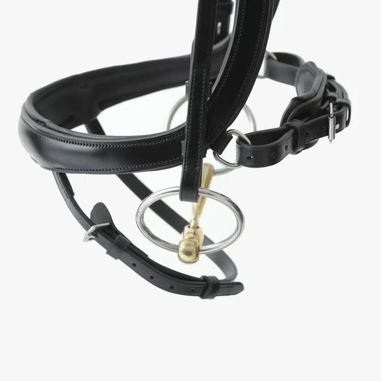 Premier Equine Savuto Anatomic Bridle with Crank Noseband & Flash by Premier Equine at  Try a Bit