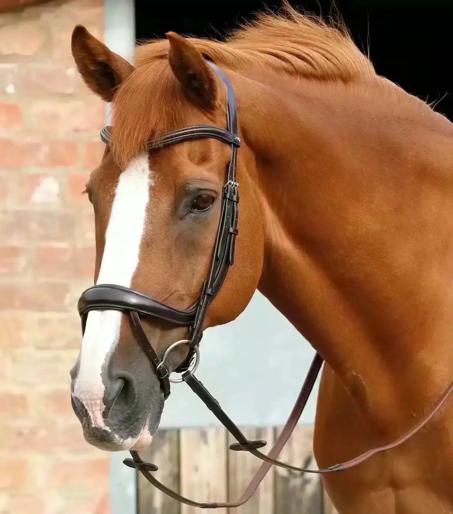 Premier Equine Savuto Anatomic Bridle with Crank Noseband & Flash by Premier Equine at  Try a Bit