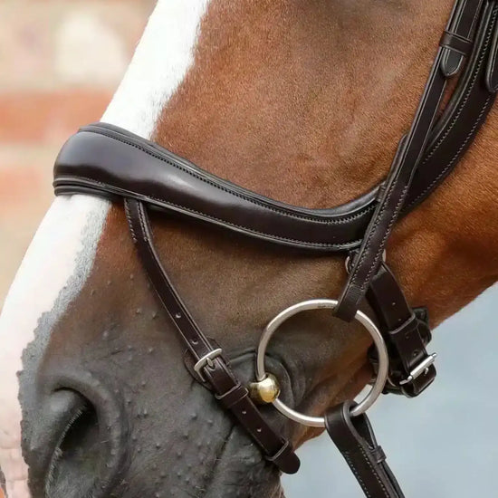 Premier Equine Savuto Anatomic Bridle with Crank Noseband & Flash by Premier Equine at  Try a Bit