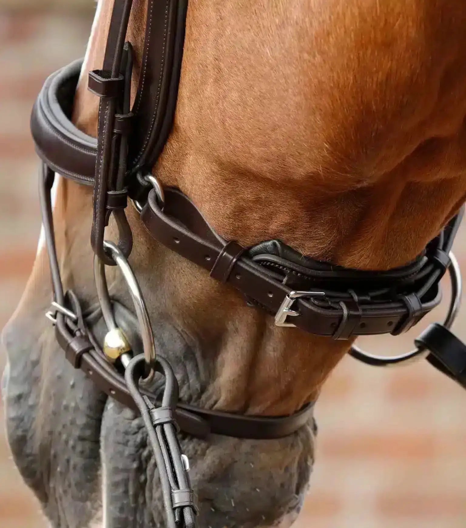 Premier Equine Savuto Anatomic Bridle with Crank Noseband & Flash by Premier Equine at  Try a Bit