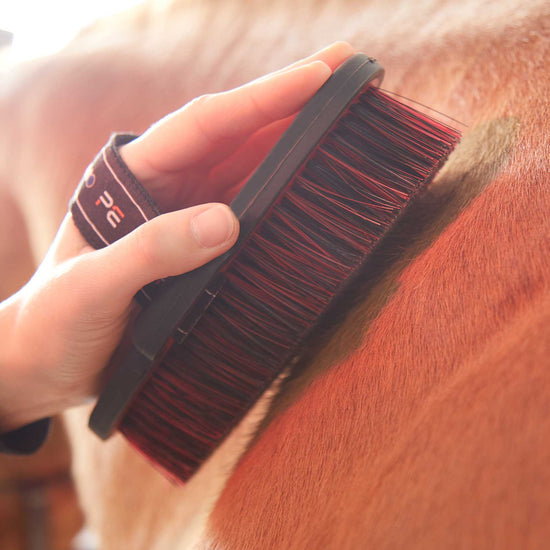 Premier Equine Soft-Touch Body Brush by Premier Equine at  Try a Bit