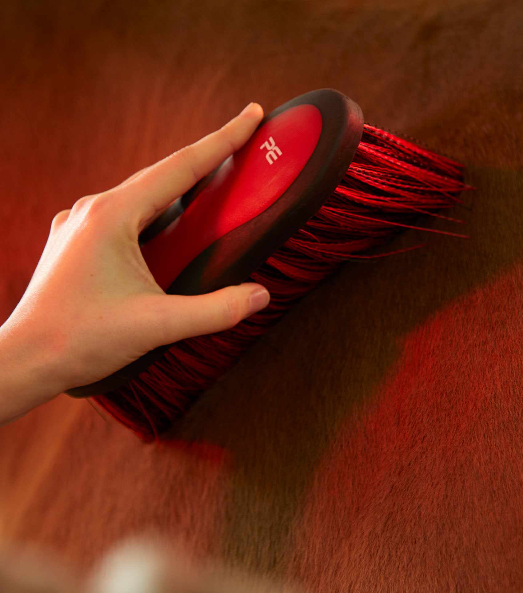 Premier Equine Soft-Touch Dandy Brush - Long Bristles by Premier Equine at  Try a Bit