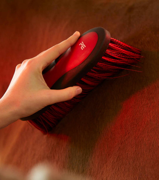 Premier Equine Soft-Touch Dandy Brush - Long Bristles by Premier Equine at  Try a Bit