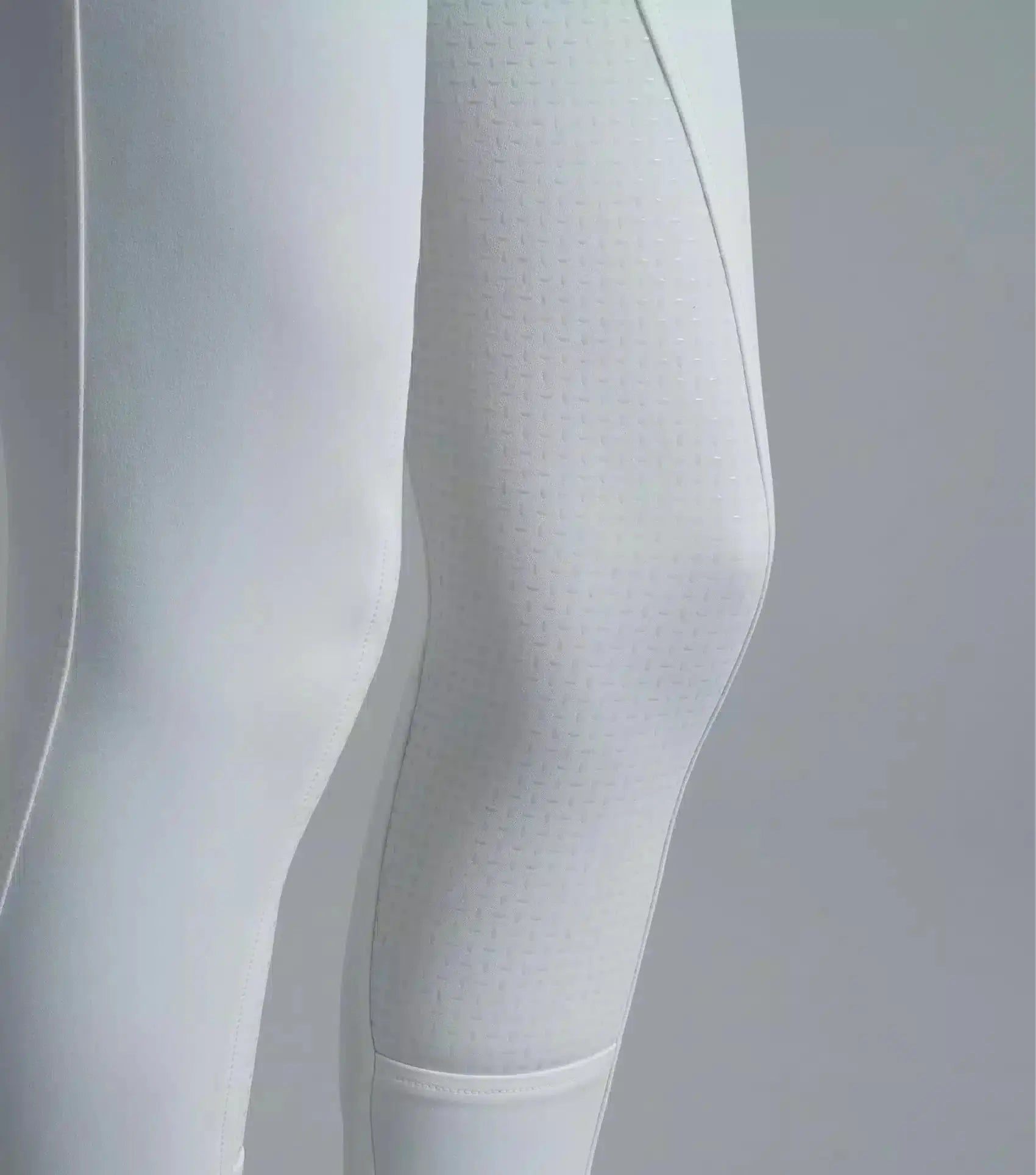 Premier Equine Sophia Ladies Full Seat High Waist Competition Riding Breeches by Premier Equine at  Try a Bit