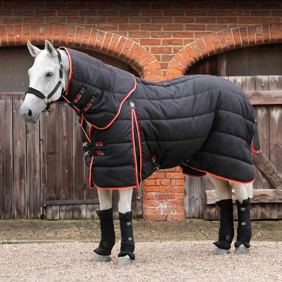 Premier Equine Stable Boot Wraps Inc. Liners by Premier Equine at  Try a Bit