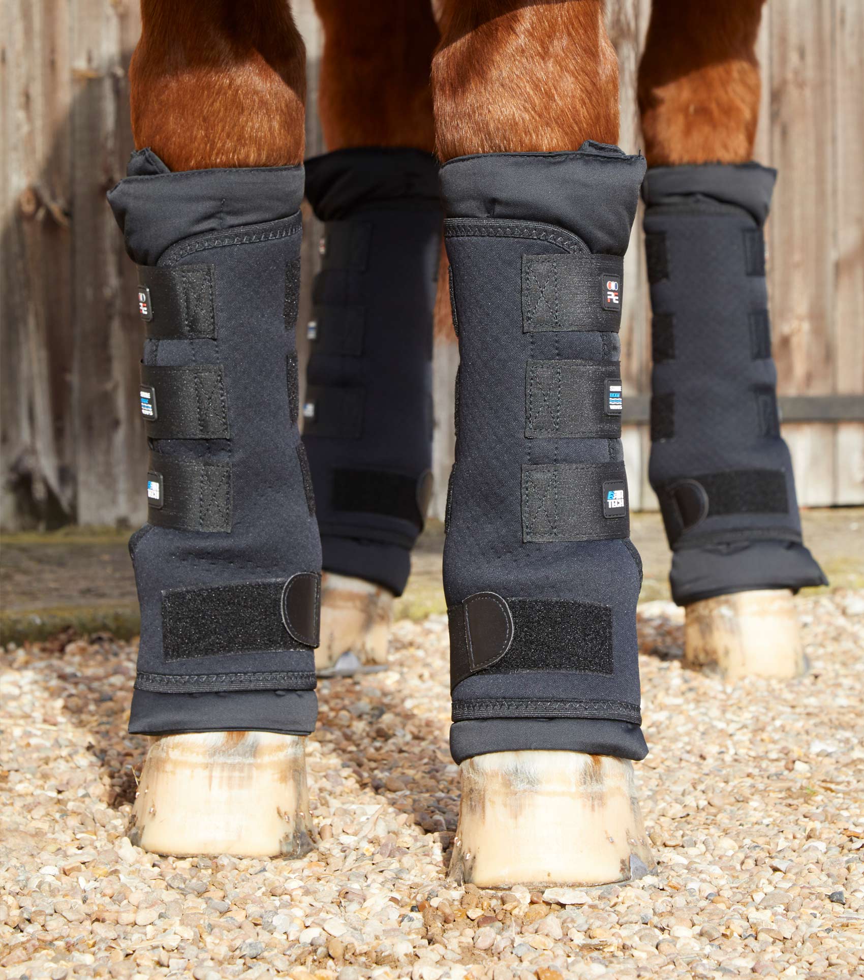 Premier Equine Stable Boot Wraps Inc. Liners by Premier Equine at  Try a Bit