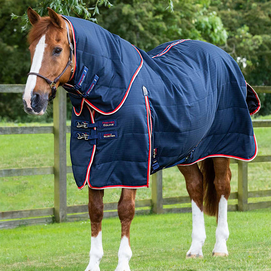 Premier Equine Stable Buster 100g Stable Rug with Neck Cover by Premier Equine at  Try a Bit