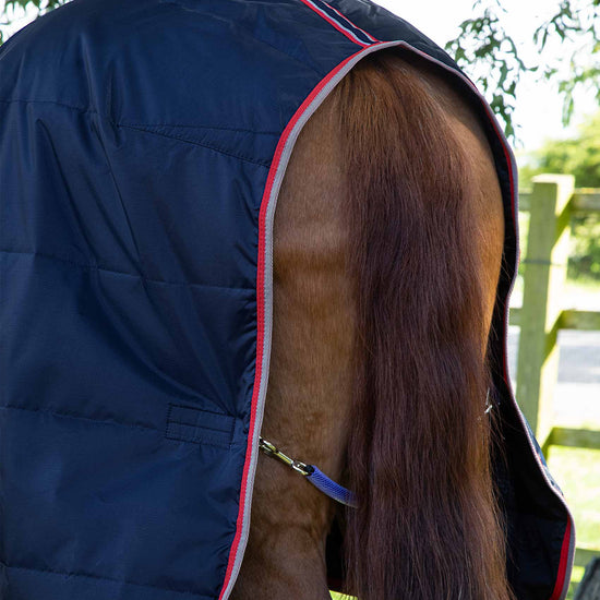Premier Equine Stable Buster Lite 100g by Premier Equine at  Try a Bit
