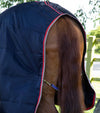 Premier Equine Stable Buster Lite 100g by Premier Equine at  Try a Bit