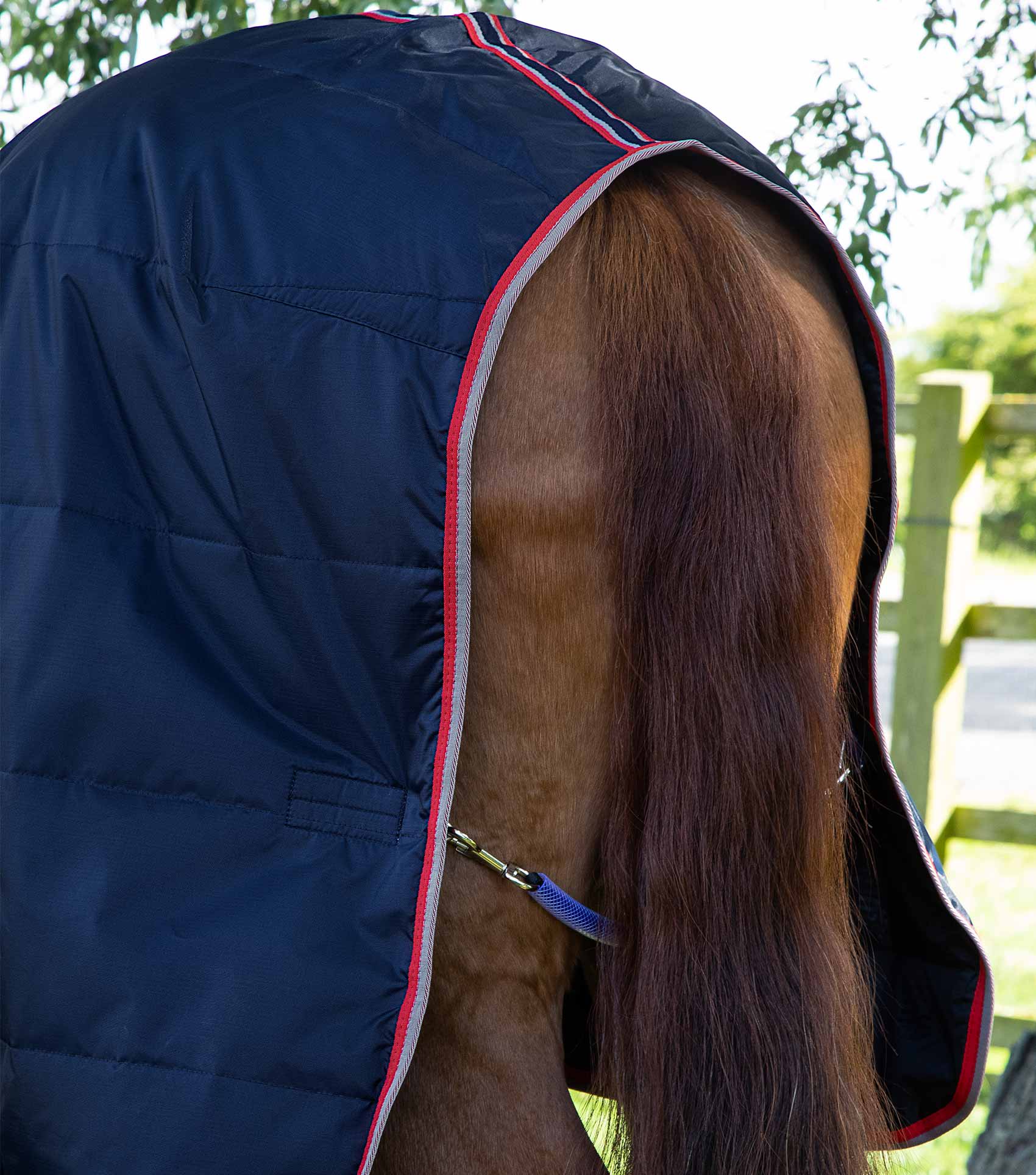Premier Equine Stable Buster Lite 100g by Premier Equine at  Try a Bit
