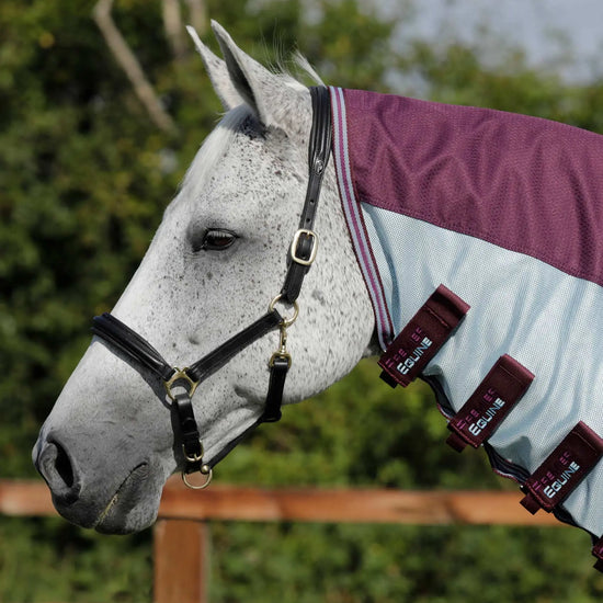 Premier Equine Stay-Dry Mesh Air Fly Rug with Surcingles by Premier Equine at  Try a Bit