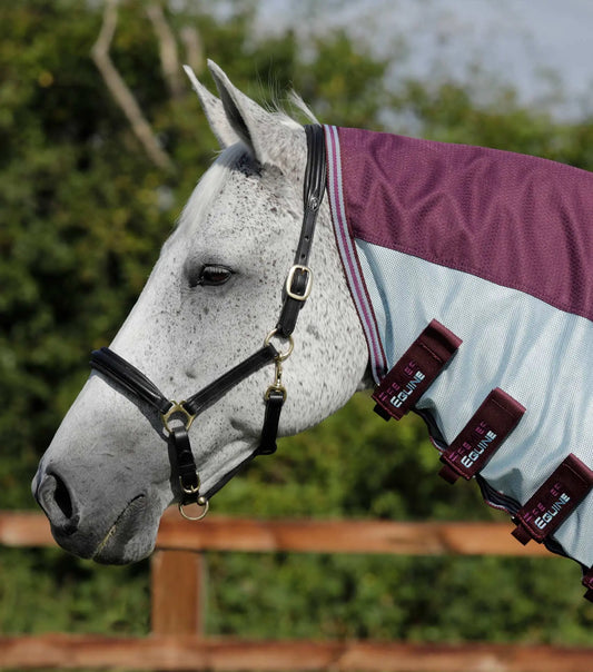 Premier Equine Stay-Dry Mesh Air Fly Rug with Surcingles by Premier Equine at  Try a Bit