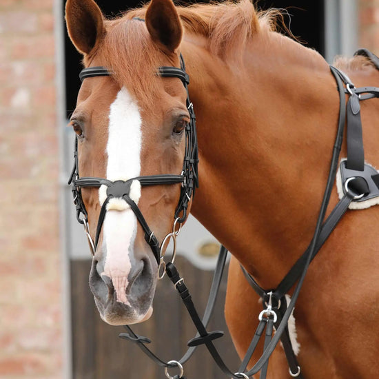 Premier Equine Stefano Rubber Reins by Premier Equine at  Try a Bit