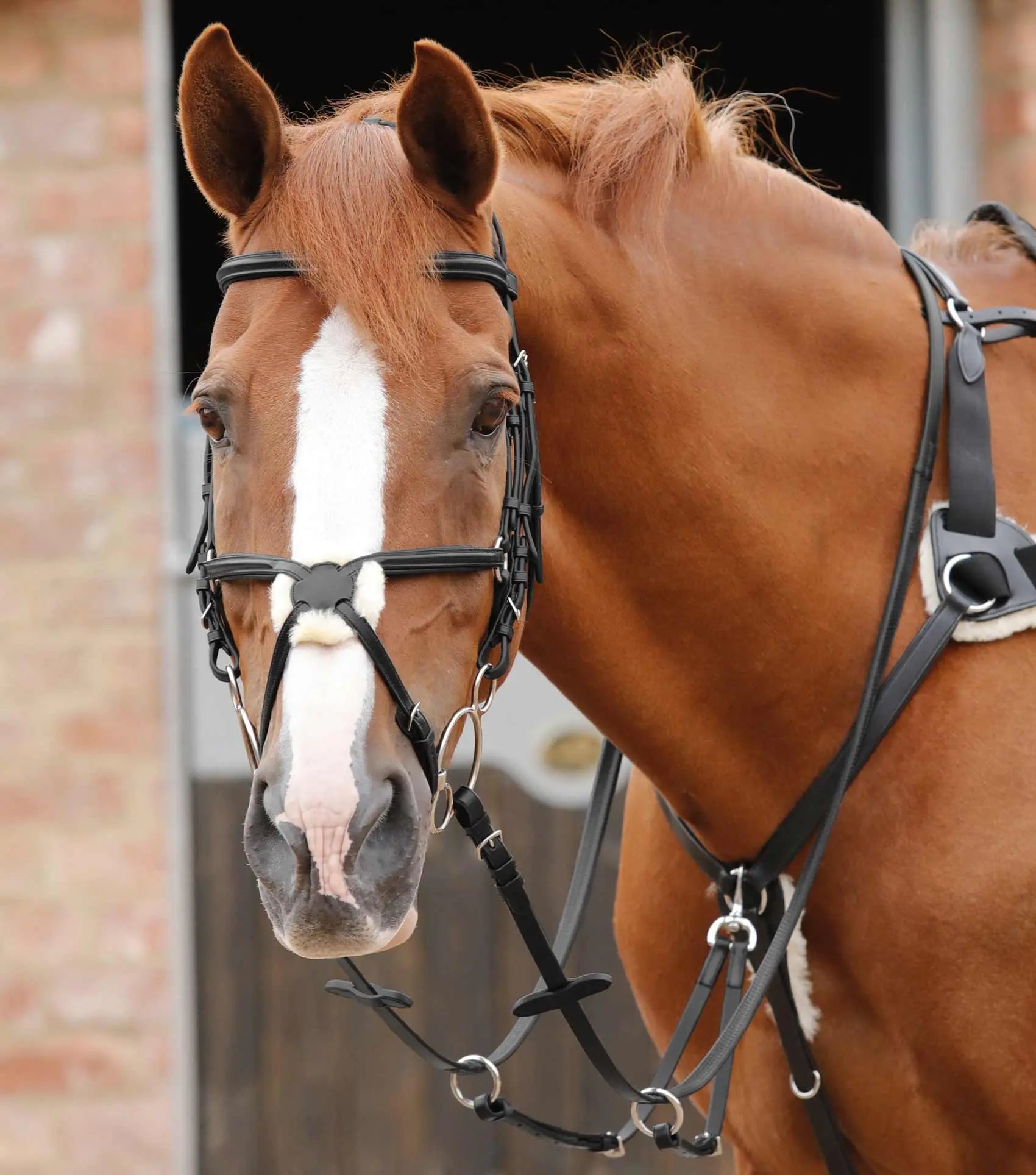 Premier Equine Stefano Rubber Reins by Premier Equine at  Try a Bit