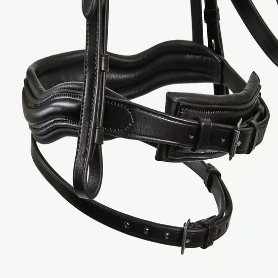 Premier Equine Stellazio Anatomic Snaffle Bridle with Flash by Premier Equine at  Try a Bit