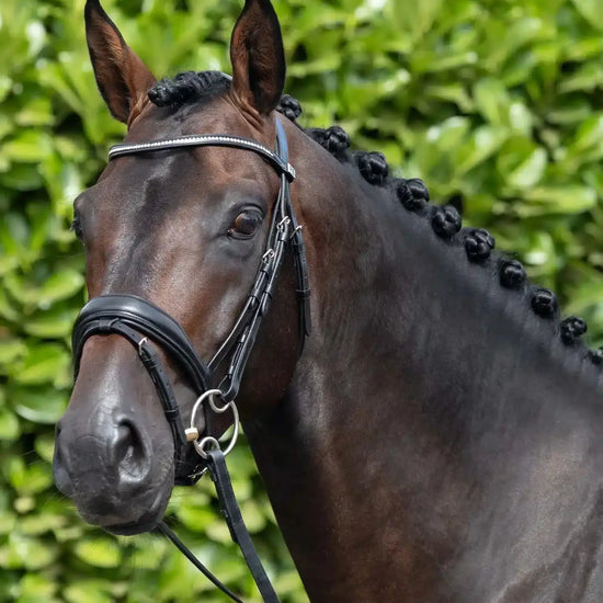 Premier Equine Stellazio Anatomic Snaffle Bridle with Flash by Premier Equine at  Try a Bit