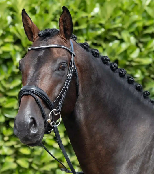 Premier Equine Stellazio Anatomic Snaffle Bridle with Flash by Premier Equine at  Try a Bit
