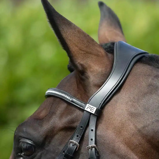 Premier Equine Stellazio Anatomic Snaffle Bridle with Flash by Premier Equine at  Try a Bit