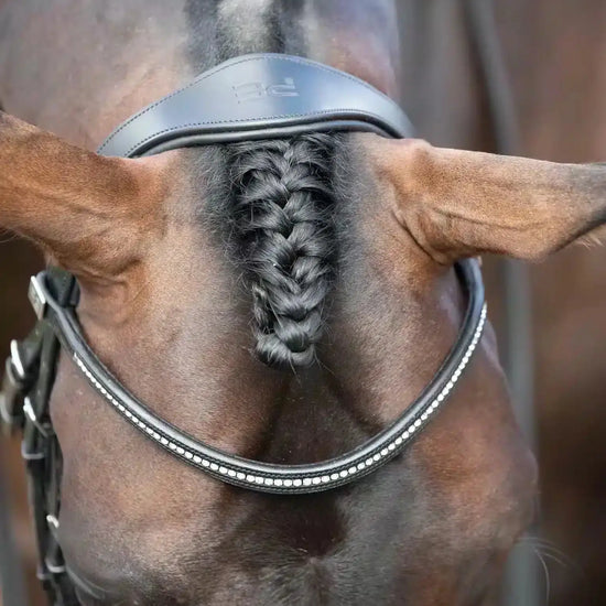 Premier Equine Stellazio Anatomic Snaffle Bridle with Flash by Premier Equine at  Try a Bit
