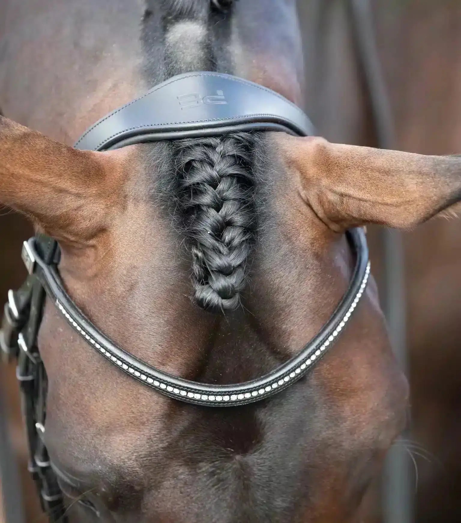 Premier Equine Stellazio Anatomic Snaffle Bridle with Flash by Premier Equine at  Try a Bit