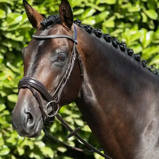 Premier Equine Stellazio Anatomic Snaffle Bridle with Flash by Premier Equine at  Try a Bit