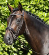 Premier Equine Stellazio Anatomic Snaffle Bridle with Flash by Premier Equine at  Try a Bit