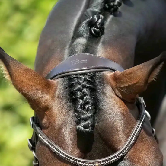 Premier Equine Stellazio Anatomic Snaffle Bridle with Flash by Premier Equine at  Try a Bit