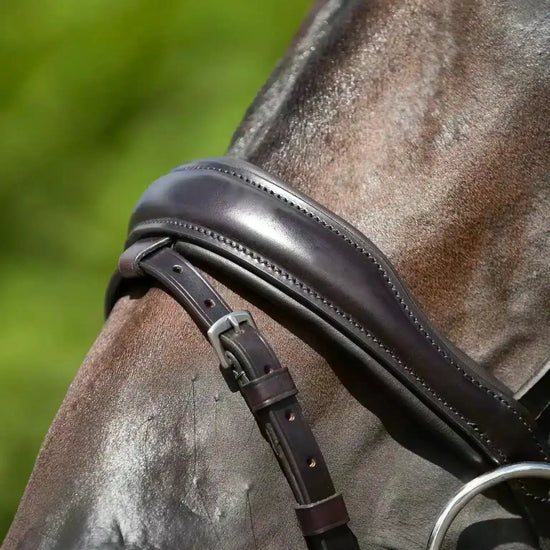 Premier Equine Stellazio Anatomic Snaffle Bridle with Flash by Premier Equine at  Try a Bit