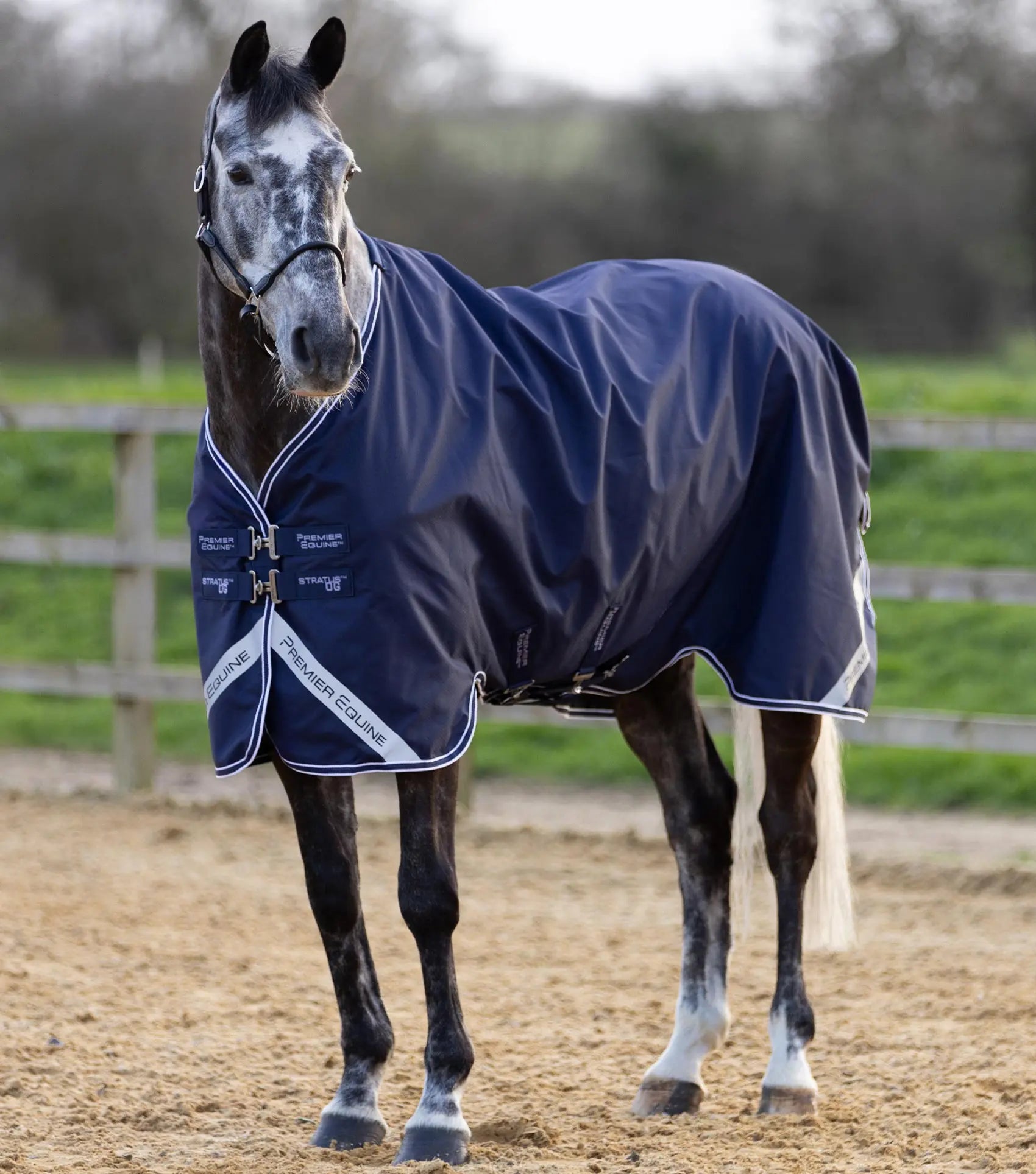 Stratus 600D Series 0g Original Turnout Rug Navy by Premier Equine Int. Ltd. at  Try A Bit