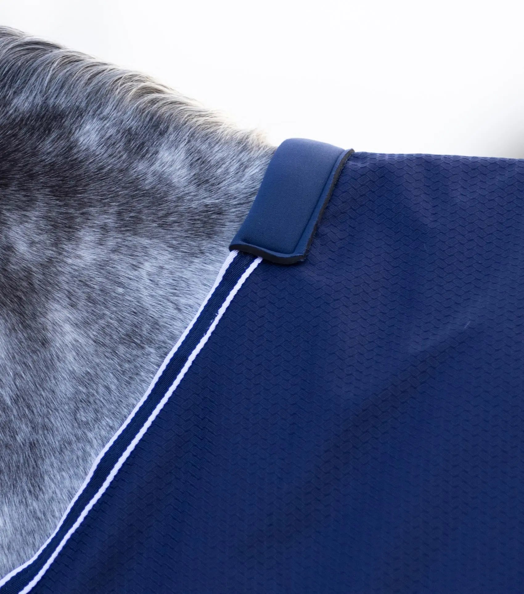 Stratus 600D Series 0g Original Turnout Rug Navy by Premier Equine Int. Ltd. at  Try A Bit