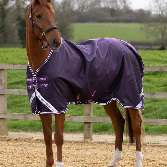 Stratus 600D Series 0g Original Turnout Rug Purple by Premier Equine Int. Ltd. at  Try A Bit