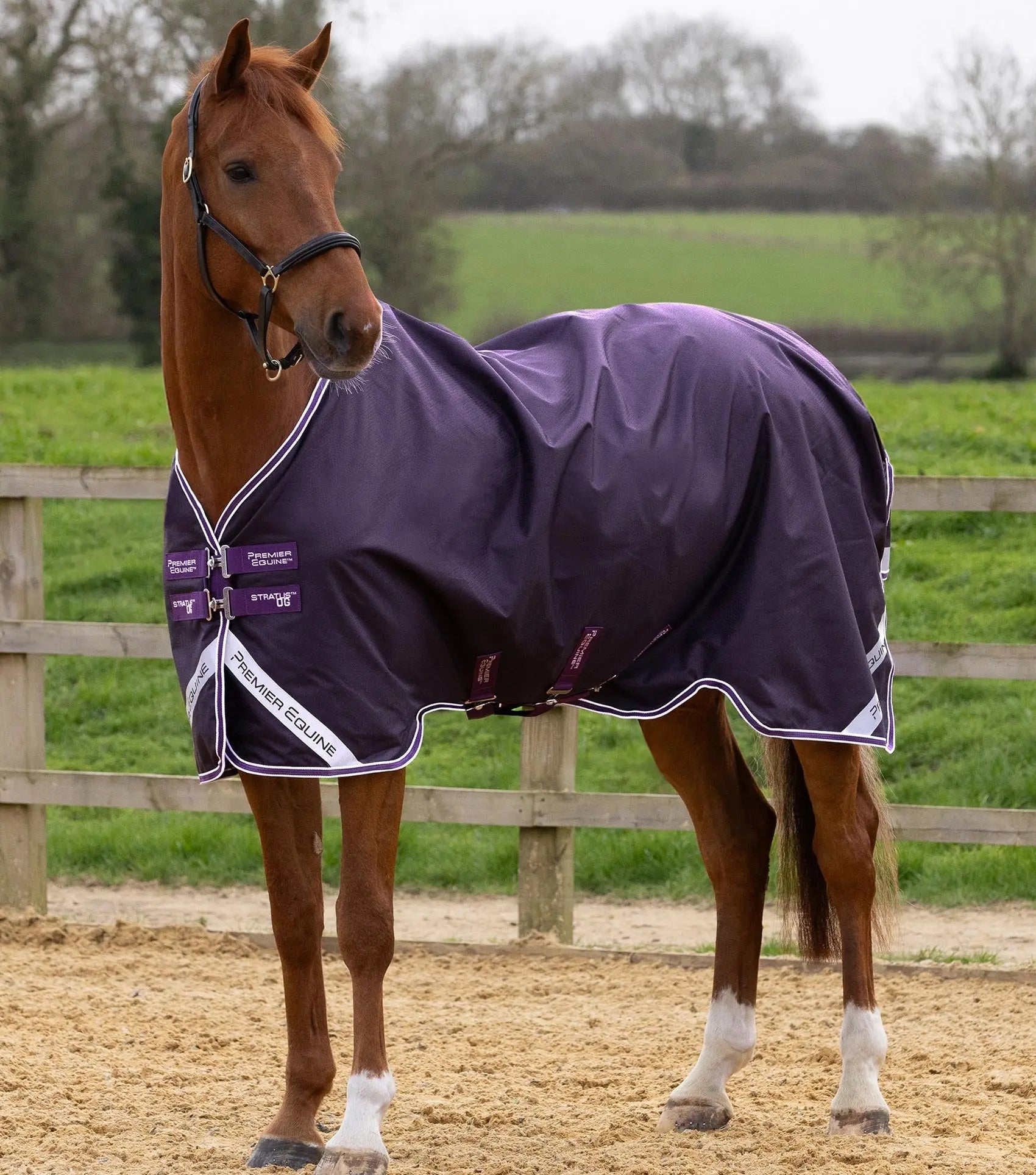 Stratus 600D Series 0g Original Turnout Rug Purple by Premier Equine Int. Ltd. at  Try A Bit