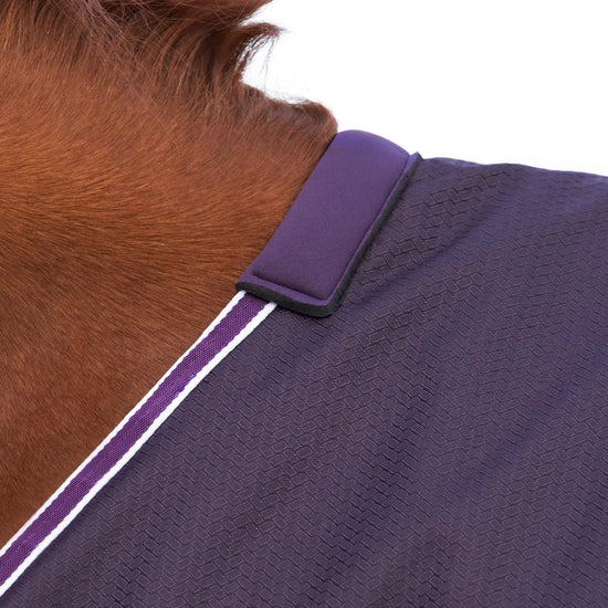 Stratus 600D Series 0g Original Turnout Rug Purple by Premier Equine Int. Ltd. at  Try A Bit