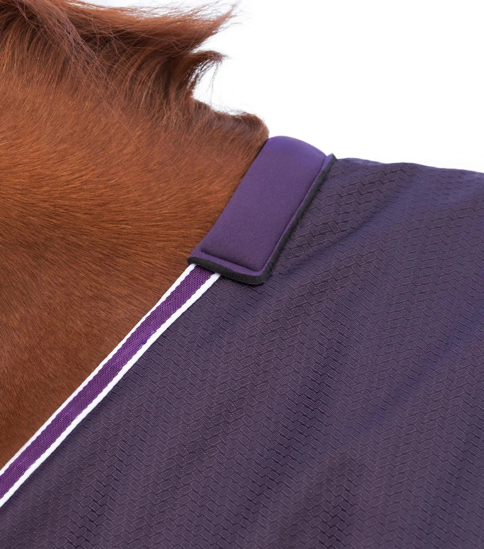 Stratus 600D Series 0g Original Turnout Rug Purple by Premier Equine Int. Ltd. at  Try A Bit