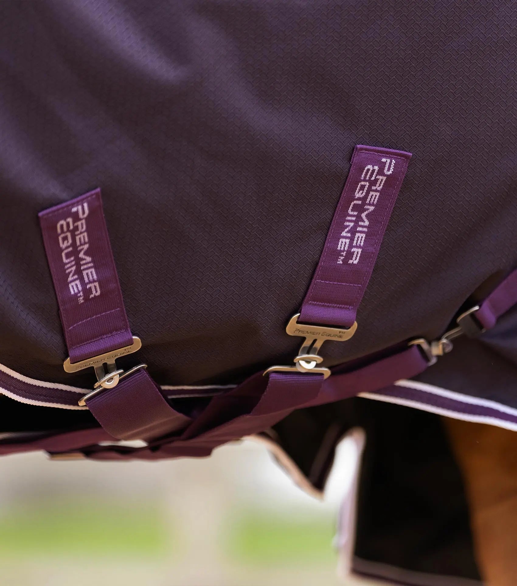 Stratus 600D Series 0g Original Turnout Rug Purple by Premier Equine Int. Ltd. at  Try A Bit