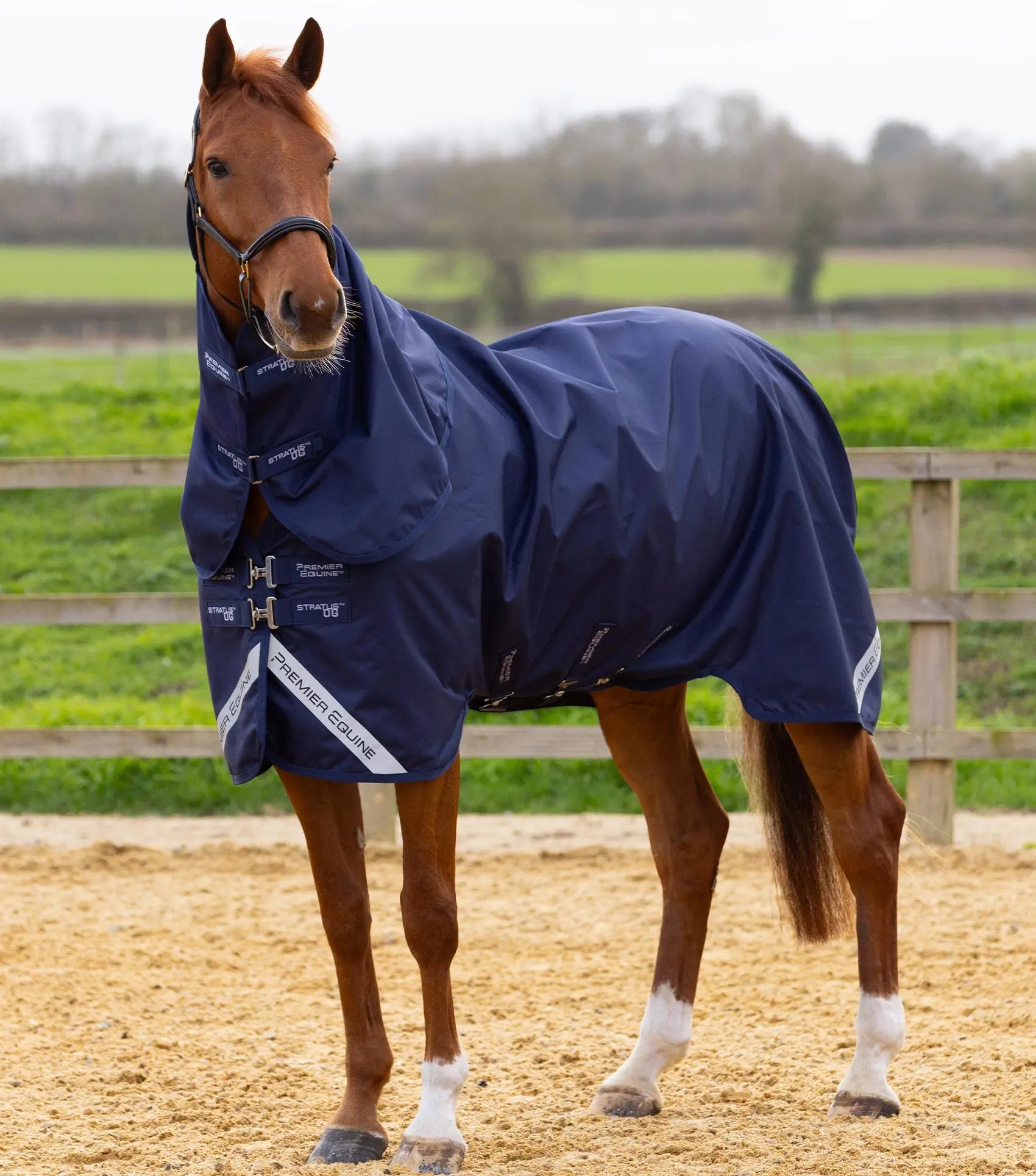 Stratus 600D Series 0g Turnout Rug with Classic Neck Cover Navy by Premier Equine Int. Ltd. at  Try A Bit