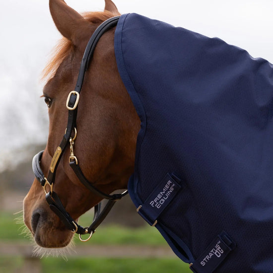 Stratus 600D Series 0g Turnout Rug with Classic Neck Cover Navy by Premier Equine Int. Ltd. at  Try A Bit